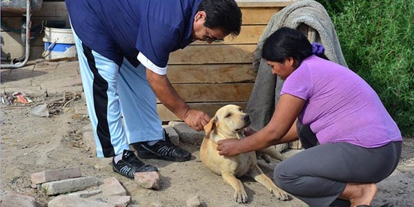 Salud. En el operativo se controlan animales domésticos y ganado mayor. También se realiza un censo.