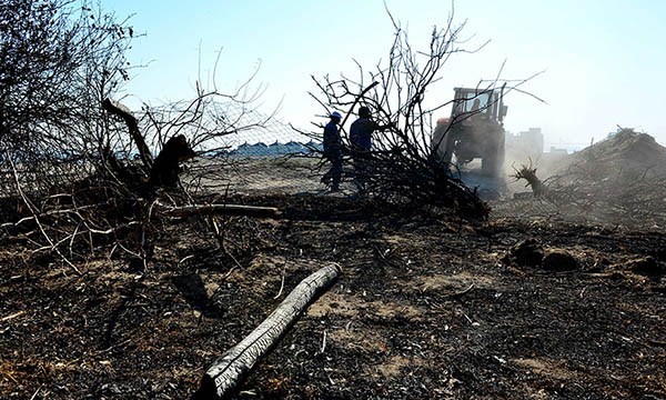 El vivero municipal madrynense sufrió una pérdida importante.
