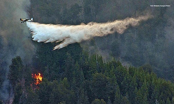 Agua. Una postal de los aviones hidrantes que sin cesar sacan agua de los lagos y la desparraman sobre las llamas que siguen muy activas.
