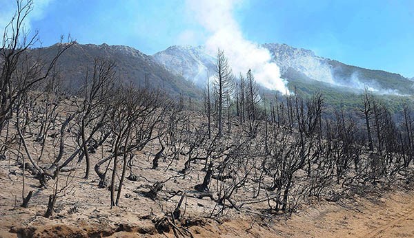 Desolado. Así quedó el paisaje cordillerano culpa del fuego.