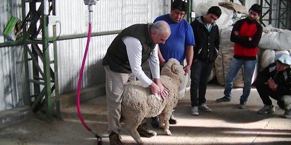 El curso teórico-práctico se realizó con lana aportada por la Asociación de Ganaderos de Gastre.