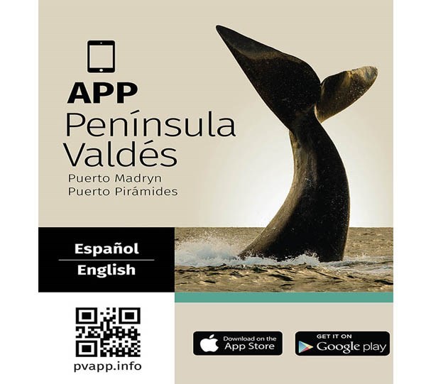 La App ya está disponible en los Play Store, de forma gratuita.