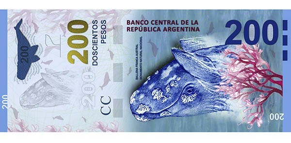 La ballena franca austral, nativa de los mares patagónicos, será la imagen de los nuevos billetes de 200 pesos que circularán a mediados de año.