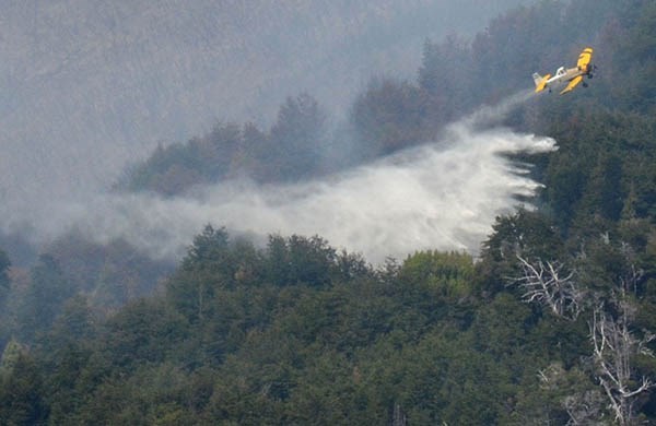Sospechas. Varios de los conocedores del área aportaron pistas sobre el origen del tremendo fuego. 