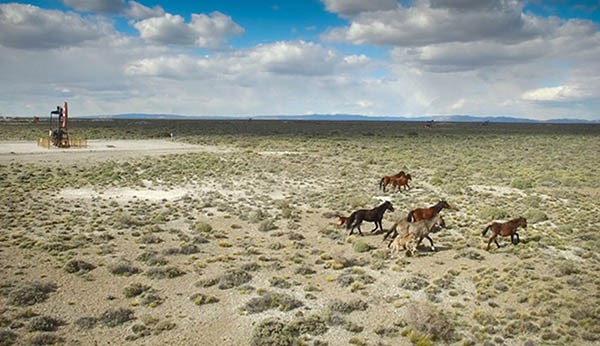 La zona comprende una superficie total de alrededor de 49 km2.
