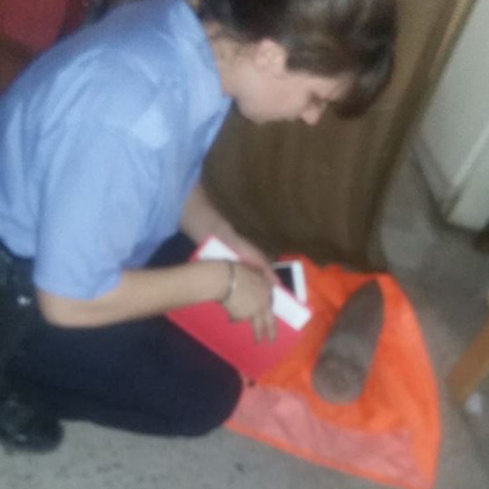 La oficial Saiegg, experta en explosivos, cuando revisaba la bomba.