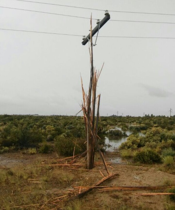 Impactante! Así quedó el poste de energía, totalmente astillado, luego de recibir el impacto directo de un rayo.