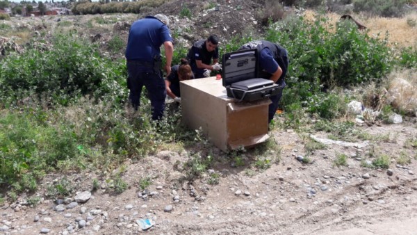 Policía científica realizó pericias sobre la caja fuerte
