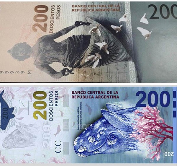 Billete polémico. Aseguran que el diseño de la ballena no estará en los 200 pesos y será reemplazado.