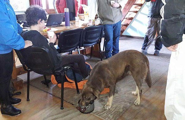 Santino siendo atendido en una sala de primeros auxilios. Todo retornó a la tranquilidad en la cordillera.