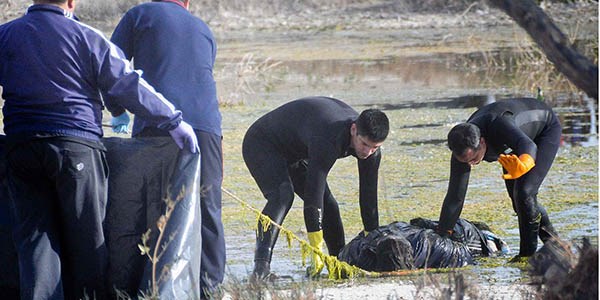 El cuerpo sin vida del joven fue encontrado por una pareja que se encontraba disfrutando de la tarde.