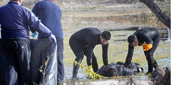 El cuerpo sin vida del joven fue encontrado por una pareja que se encontraba disfrutando de la tarde.