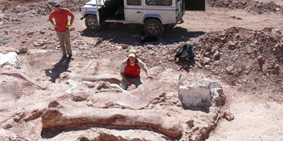 El Seminario brindará herramientas generales sobre paleontología y geología de nuestra región.