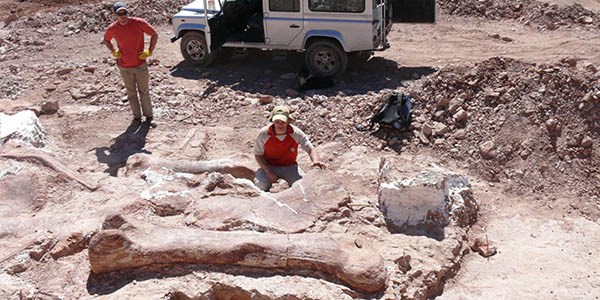 El Seminario brindará herramientas generales sobre paleontología y geología de nuestra región.