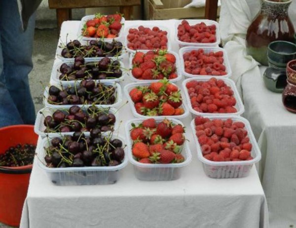 Crisis. Los productores de fruta fina están cada vez más complicados. 