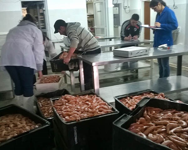 El laboratorio del colegio 721 “Caleta Horno” de Camarones, donde se analiza la aptitud para el consumo.