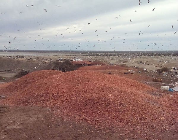 Gaviotas. Así de sucia quedó la vera de la ruta gracias a una mala costumbre que el municipio no controla. 