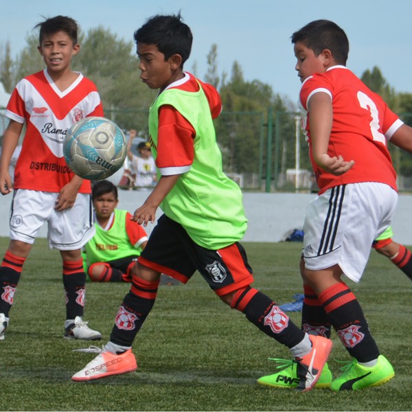Hoy se juegan las finales en las categorías que van de 02/03 a 08/09.