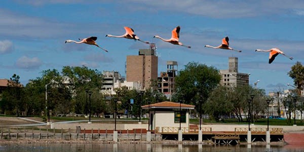 La actividad se desarrollará en el marco de la “3ª Semana Provincial de las Aves”.