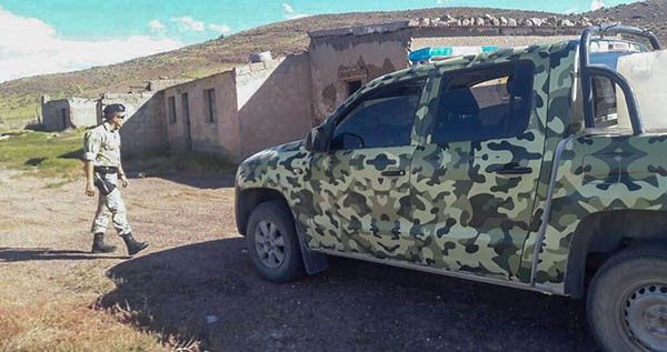 Efectivos de Abigeato controlaron una veintena de vehículos y visitaron varios establecimientos rurales.