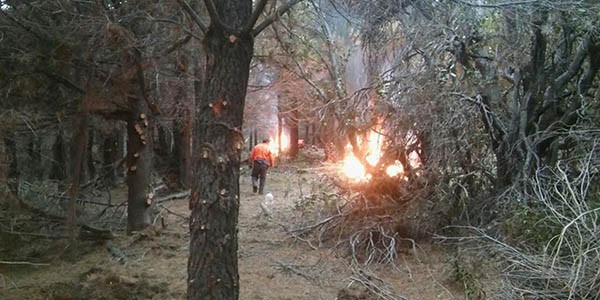 Postal. El fuego no paró durante una semana y produjo la incineración que afectó árboles y arbustos.