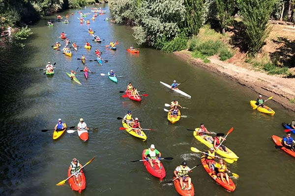 Los kayaks en el Río Chubut. Ayer al mediodía navegaron de Trelew a Rawson, por una causa solidaria.