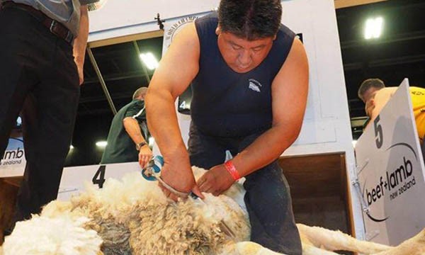 Las jornadas que se vivieron en el mundial de Nueva Zelanda.