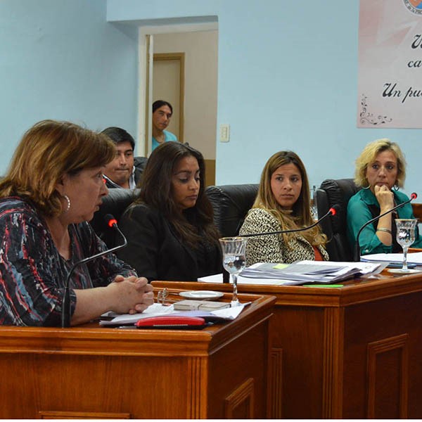 Planteos. Una postal de la sesión de ayer del parlamento rawsense. 