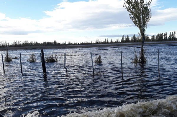 Pura agua. Productores aseguran que la falta de obras se notó durante el temporal, con grandes pérdidas.