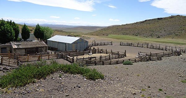 El calor afecta a los pastizales naturales que sirven de forraje.