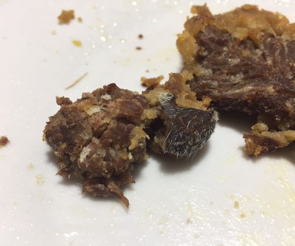 Una milanesa contaminada llevó a la clausura del comercio (foto ilustrativa ADNSur)
