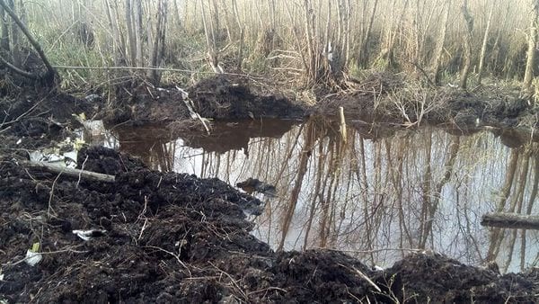 Los restos de la avioneta fueron encontrados en un pequeño espejo de agua (foto infobae)