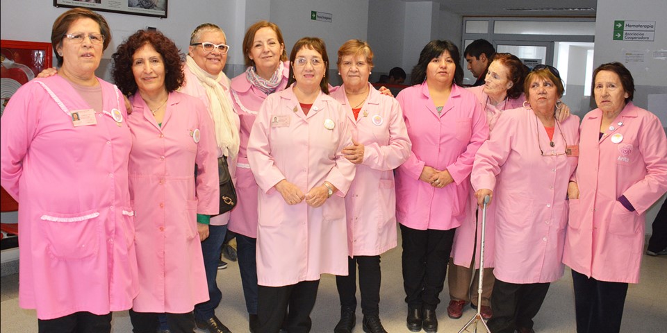 Damas Rosadas. El propio director del Hospital destacó el aporte que realizan con su trabajo.