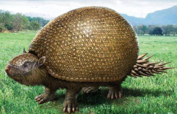 El Gliptodonte es un género extinto de un gran mamífero acorazado emparentado con los armadillos.