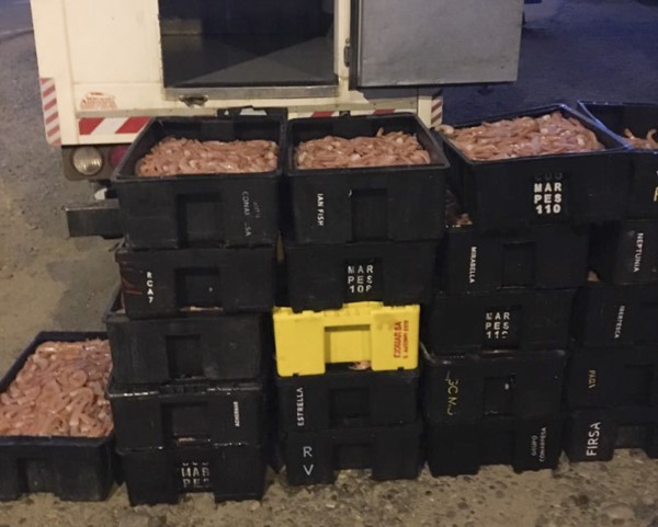Cargamento. Una postal de parte de la mercadería secuestrada.