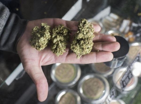 California estrena este primero de enero el mayor mercado de marihuana legal recreativa del mundo.