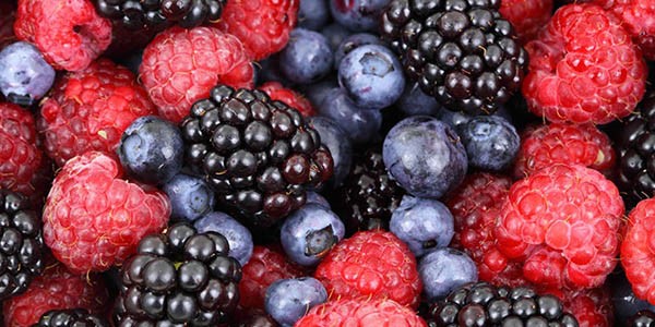 Codiciadas. La fruta fina, uno de los privilegios que produce la Comarca Andina, buscadas en todo el mundo.