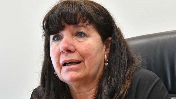 Tarea. Dufour planteó algunas dudas sobre el Presupuesto 2019.