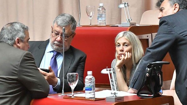 Debate entre los bloques. Cambiemos y el FpV presentaron sus iniciativas para evitar el desdoblamiento.