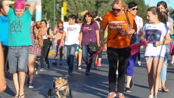 Muchas personas asistieron a la marcha con sus mascotas y los típicos pañuelos color anaranjado. 