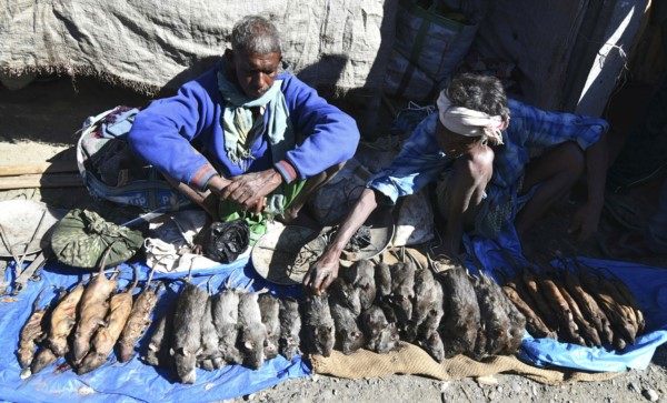 Los clientes del mercado dominical de Kumarikata, un pueblo de Assam, gran estado del noreste de India, aprecian más la rata que el pollo o el cerdo.