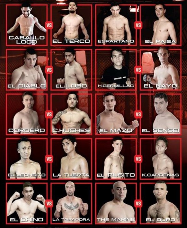 Estos son los combatientes. Los leones subirán a labalanza esta tarde.