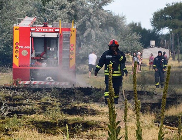 Las intervenciones crecieron un 11% respecto de 2016, confirmaron.