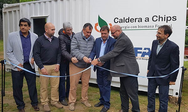 Momento inaugural. La Caldera que convierte residuos forestales ya está en marcha.