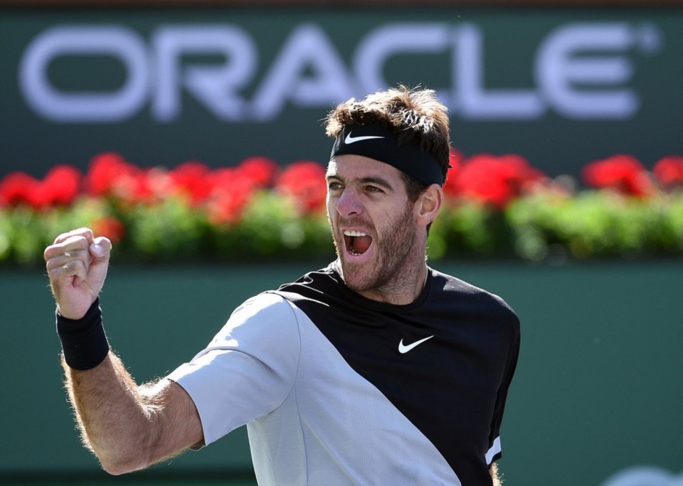 Ranking ATP: cambió el número 1, Juan Martín Del Potro se afianzó y Schwartzman llegó a su mejor puesto histórico.