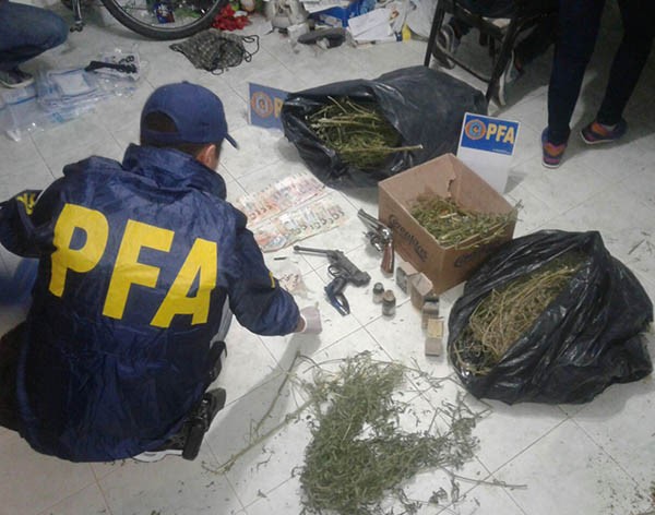 Operativo. L a Policía anti droga incautó gran cantidad de plantas en el procedimiento del barrio Pujol.