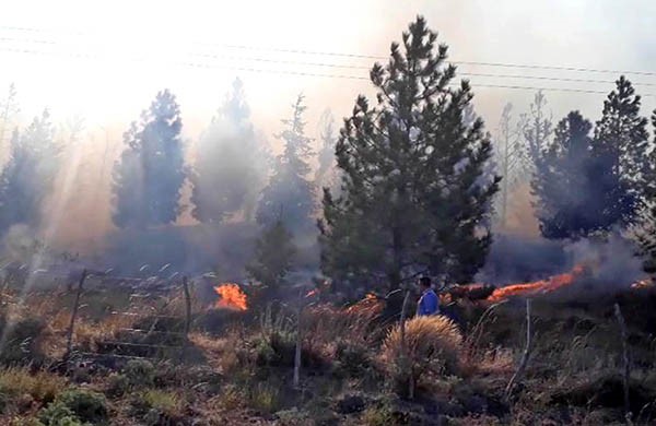 El fuego avanzaba por un sector de arboledas y pastizales altos, según el reporte desde el lugar.