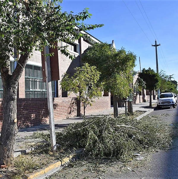 Ramas. Así lucen varias calles de Trelew y el municipio se quejó.