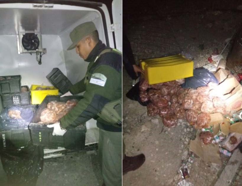 La mercadería ilegal fue decomisada por personal de SENASA.