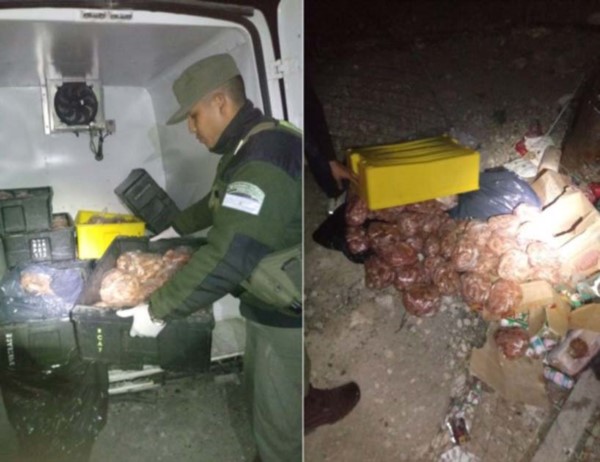 La mercadería ilegal fue decomisada por personal de SENASA.
